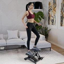 Mini stepper HS-050B Skite