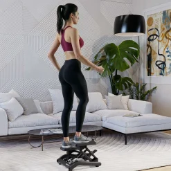 Mini stepper HS-050B Skite