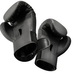 Rękawice bokserskie 12oz HS-BG12