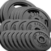Zestaw obciążeń żeliwnych 60kg (2x10, 4x5, 4x2.5, 8x1.25)